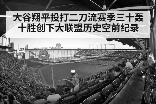 baseball stadium crowd