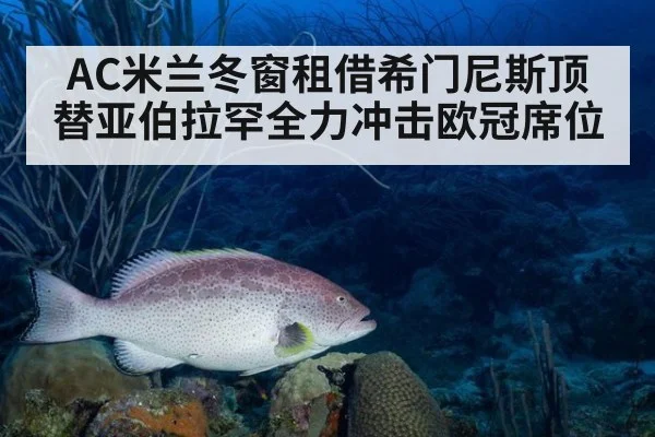 AC米兰冬窗租借希门尼斯顶替亚伯拉罕全力冲击欧冠席位