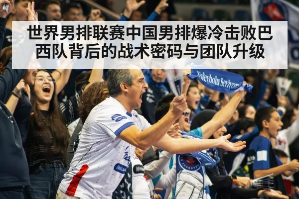 volleyball stadium crowd